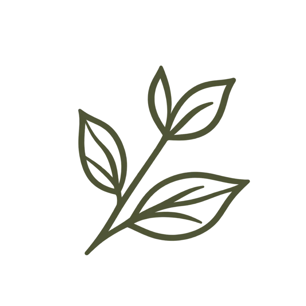 Icône botanique minimaliste en vert olive